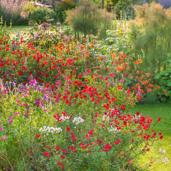 Planting Design Surrey