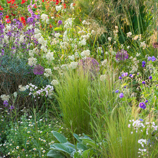 Planting Design Surrey