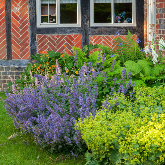Planting Design Surrey