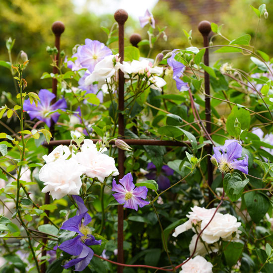 Planting Design Surrey