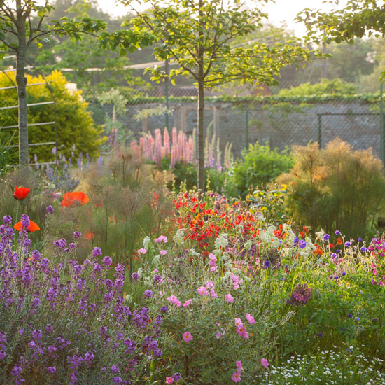 Planting Design Surrey