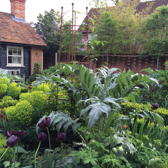 Planting Design Surrey