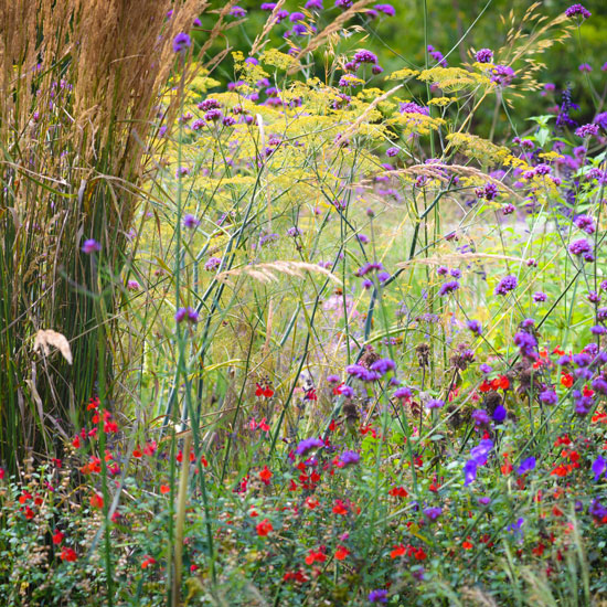 B Brooks Planting Design Surrey