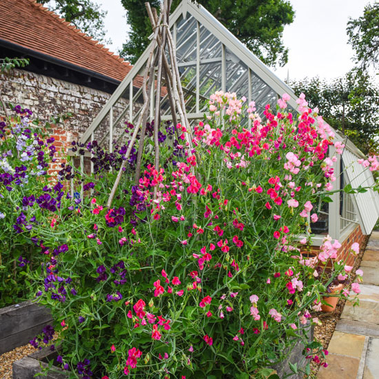 The Coach House Chiddingfold Surrey