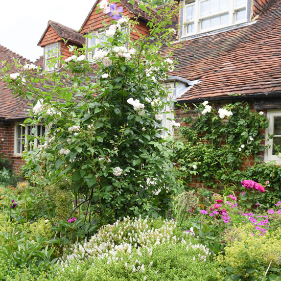 The Coach House Chiddingfold Surrey