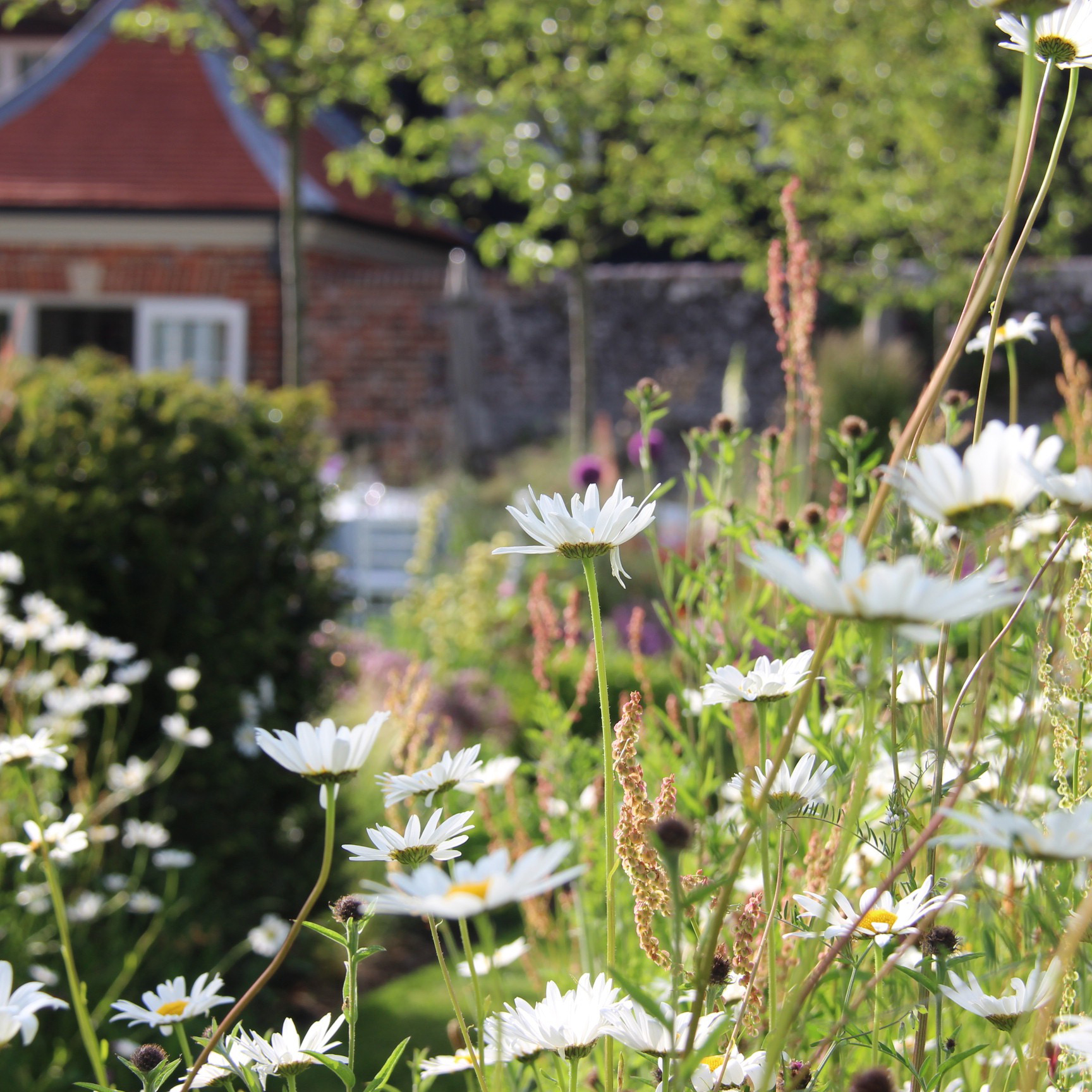 The Coach House Chiddingfold Surrey