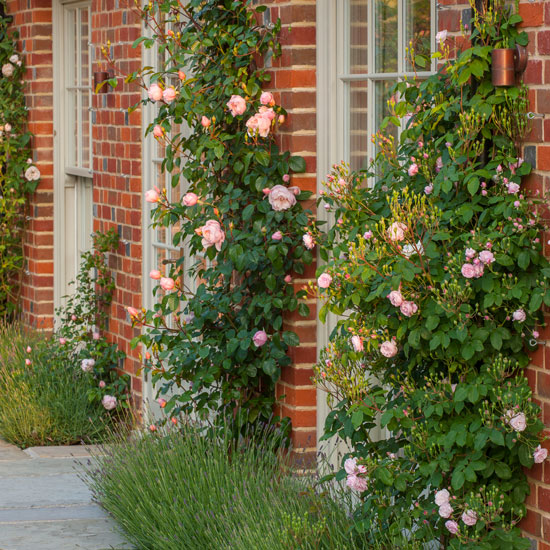 The Coach House Chiddingfold Surrey